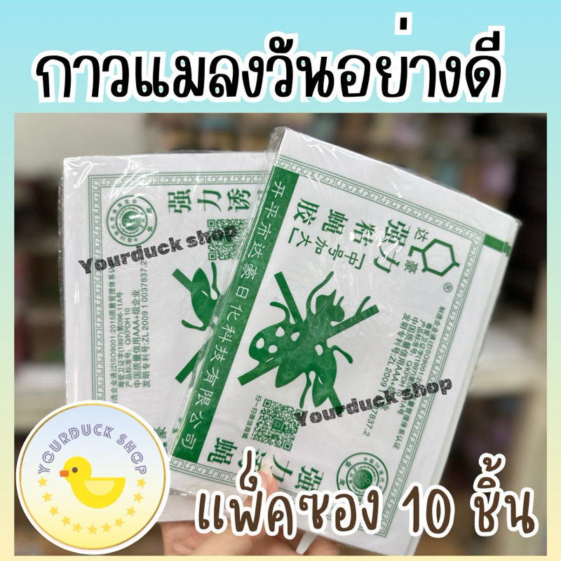 กาวแมลงวัน กาวดักแมลงวัน แผ่นใหญ่ แพ็คซอง 10 แผ่น [พร้อมส่ง]