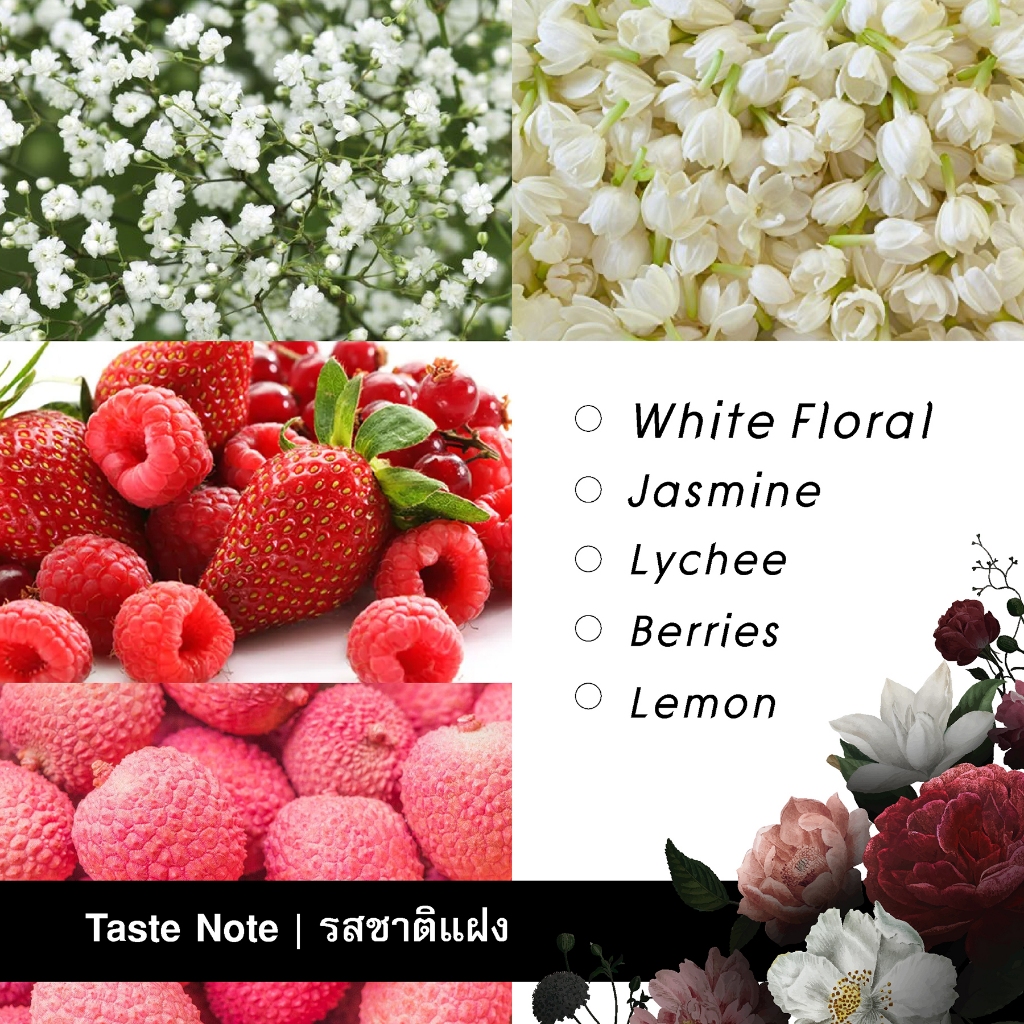 เมล็ดกาแฟเอธิโอเปีย Ethiopia Coffee | กาแฟดอกไม้ เมล็ดกาแฟต่างประเทศ | คั่วอ่อน | 200 g. - รูปที่ 2