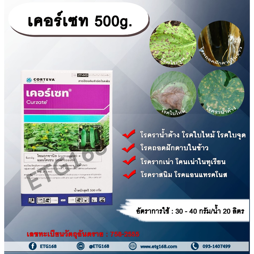 เคอร์เซท 500g. ไซมอกซานิล+แมนโคเซบ สารกำจัดเชื้อรา โรคราน้ำค้างแตงกวา แตงโม แคนตาลูป โรคใบไหม้ โรคใบจุด