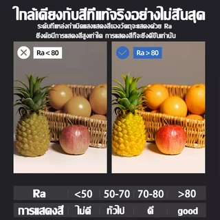 💡ส่งฟรี💡โคมไฟตั้งโต๊ะ LED 24W 2 หัว รีโมท คลิปหนีบโต๊ะ ไฟสว่างแรง ปรับความสว่างได้ 10 ระดับ แสงไม่กระพริบ ไฟอ่านหนังสือ