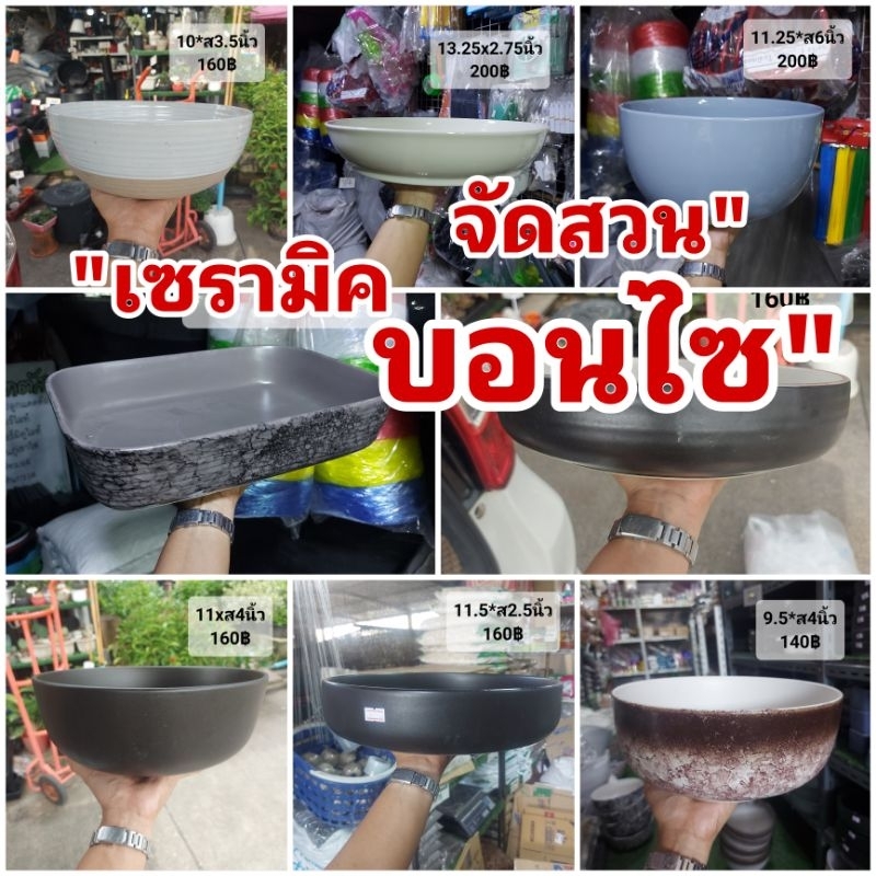 ***** เซรามิค ขนาด 9-13 นิ้ว // เจาะฟรี!!! กระถาง เซรามิก ถ้วย ชาม บอนไซ