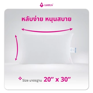 LOTUS หมอนหนุนสุญญากาศ รุ่น Sleepy Plus กระชับต้นคอ ป้องกันไรฝุ่น