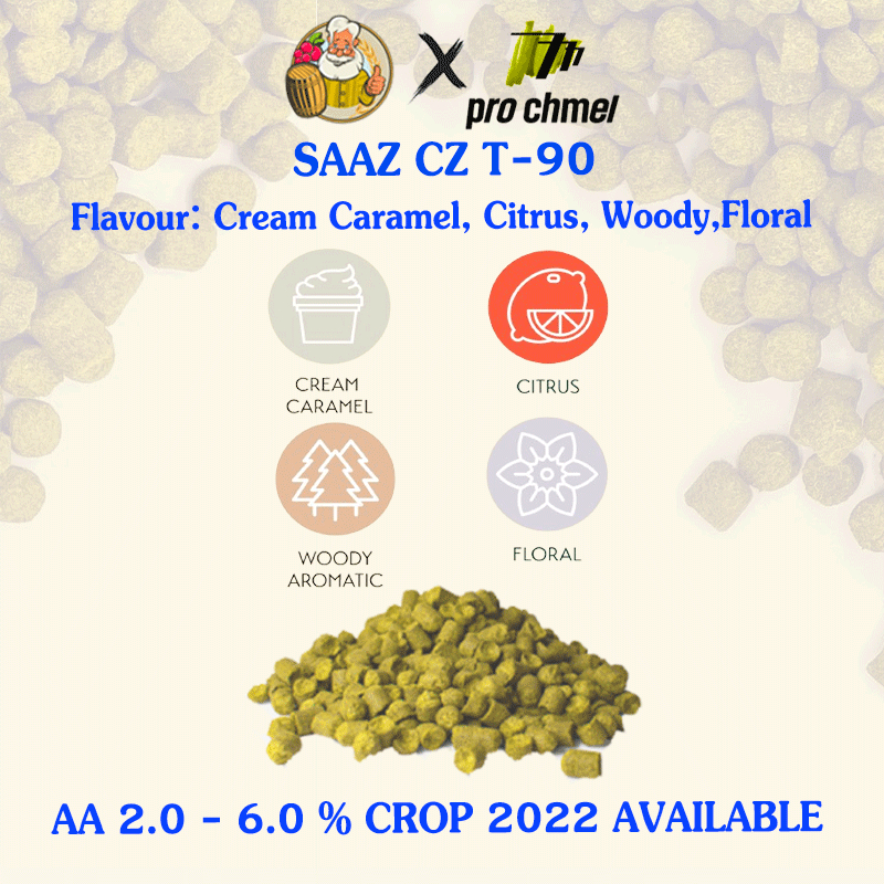 แซสฮอปส์ Saaz (CZ) PELLET HOPS (T90) Crop Year 2022 hopsทำเบียร์ hops beer ฮอปทำเบียร์ hops saaz hopT90 hopsทำเบียร์