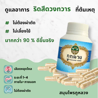 ริดสีดวง ริดสีดวงทวาร ตรา ภูหลวง สำหรับริดสีดวงทวารทุกระยะไม่ต้องผ่าตัด ขวด 100 แคปซูล (พร้อมส่ง ล็อตใหม่ ไม่ค้างสต็อก)