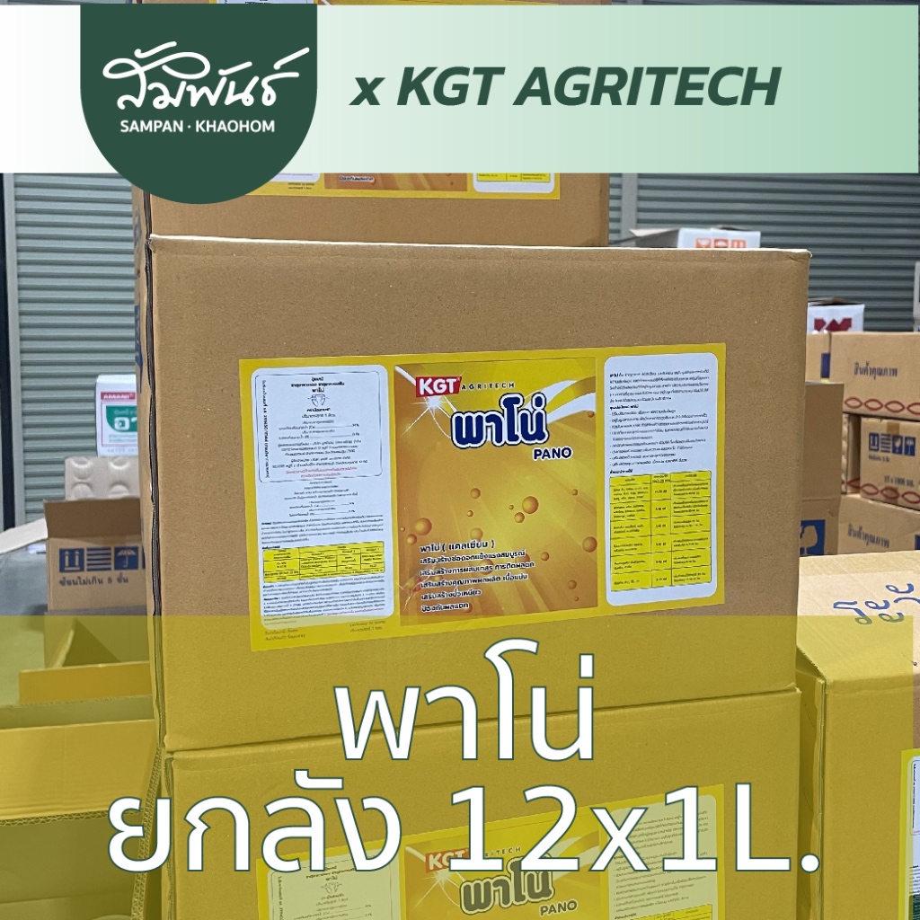 พาโน่ แคลเซียม โบรอน KGT ยกลัง ของแท้ ! สินค้ายกลัง 12 ขวด x 1 ลิตร !!!!