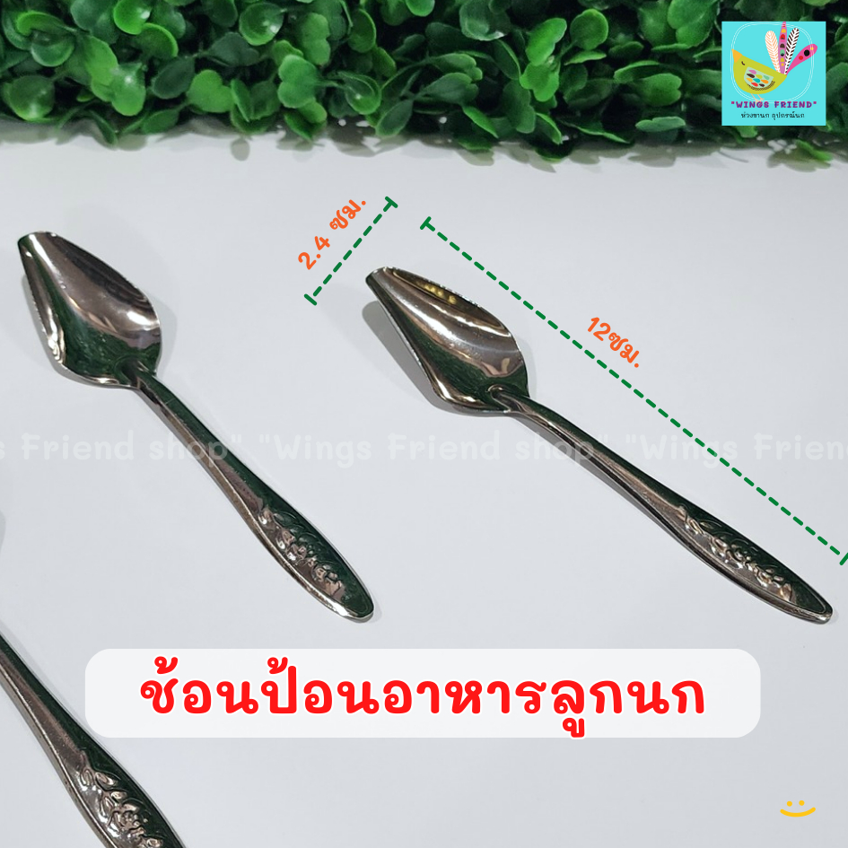 ช้อนป้อนอาหารลูกนก ช้อนป้อนอาหารนก ​