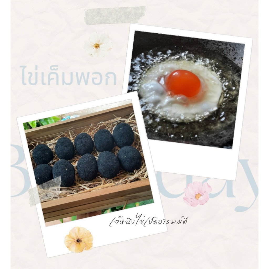 ไข่เค็มพอกสำหรับนำไปทอดไข่ดาว หรือต้มทานเอง สูตรพอกสมุนไพร ไข่ขาวนุ่ม ไข่แดงมัน สดใหม่ทุกวัน ไชร์ 65-70 กรัม/ฟอง
