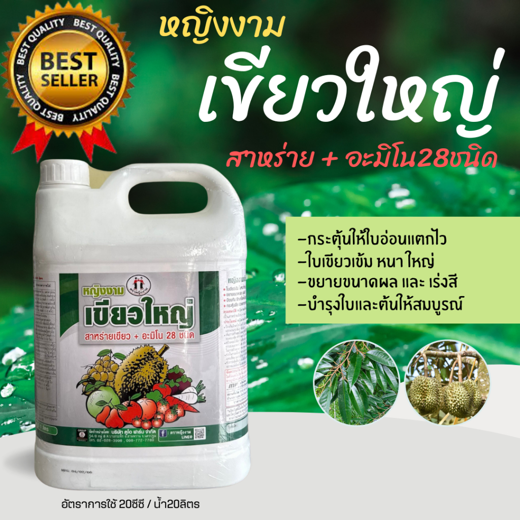 หญิงงาม เขียวใหญ่5L สาหร่าย+อมิโน28ชนิด+ช่วยให้ใบเขียวเข้มใบใหญ่