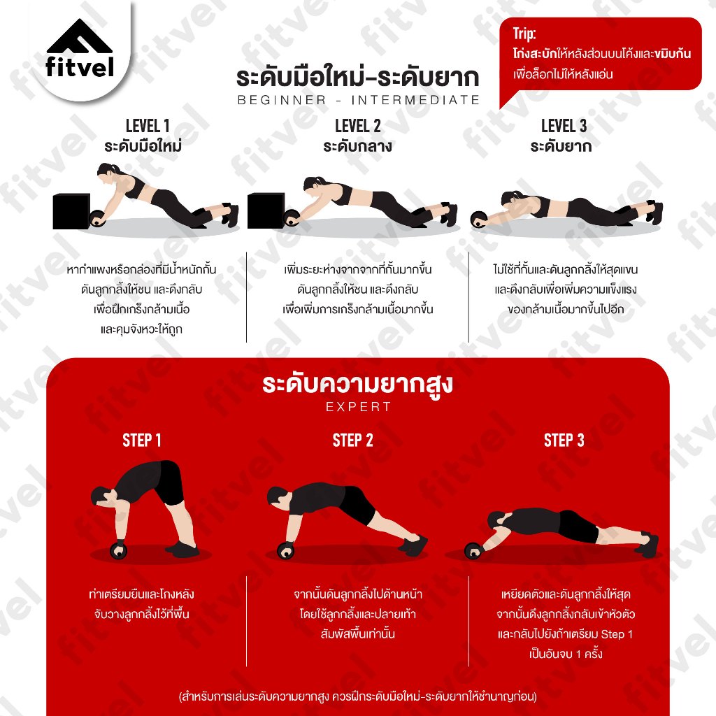 ลูกกลิ้งบริหารหน้าท้อง fitvel ออกกำลังกาย สร้างซิคแพ็ค แถมฟรีแผ่นรองเข่า ABDOMINAL WHEEL - รูปที่ 4