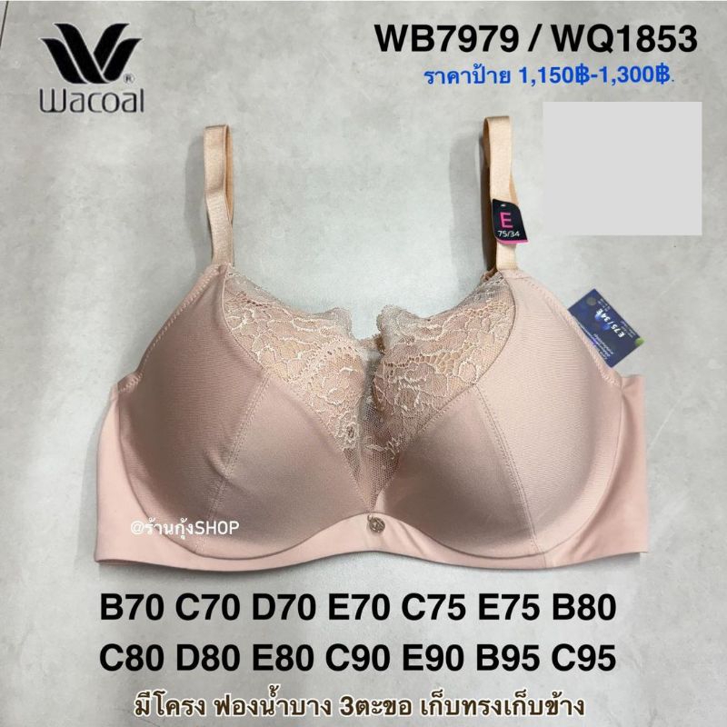 Wacoal Curve diva รุ่น WB7979/WQ1853