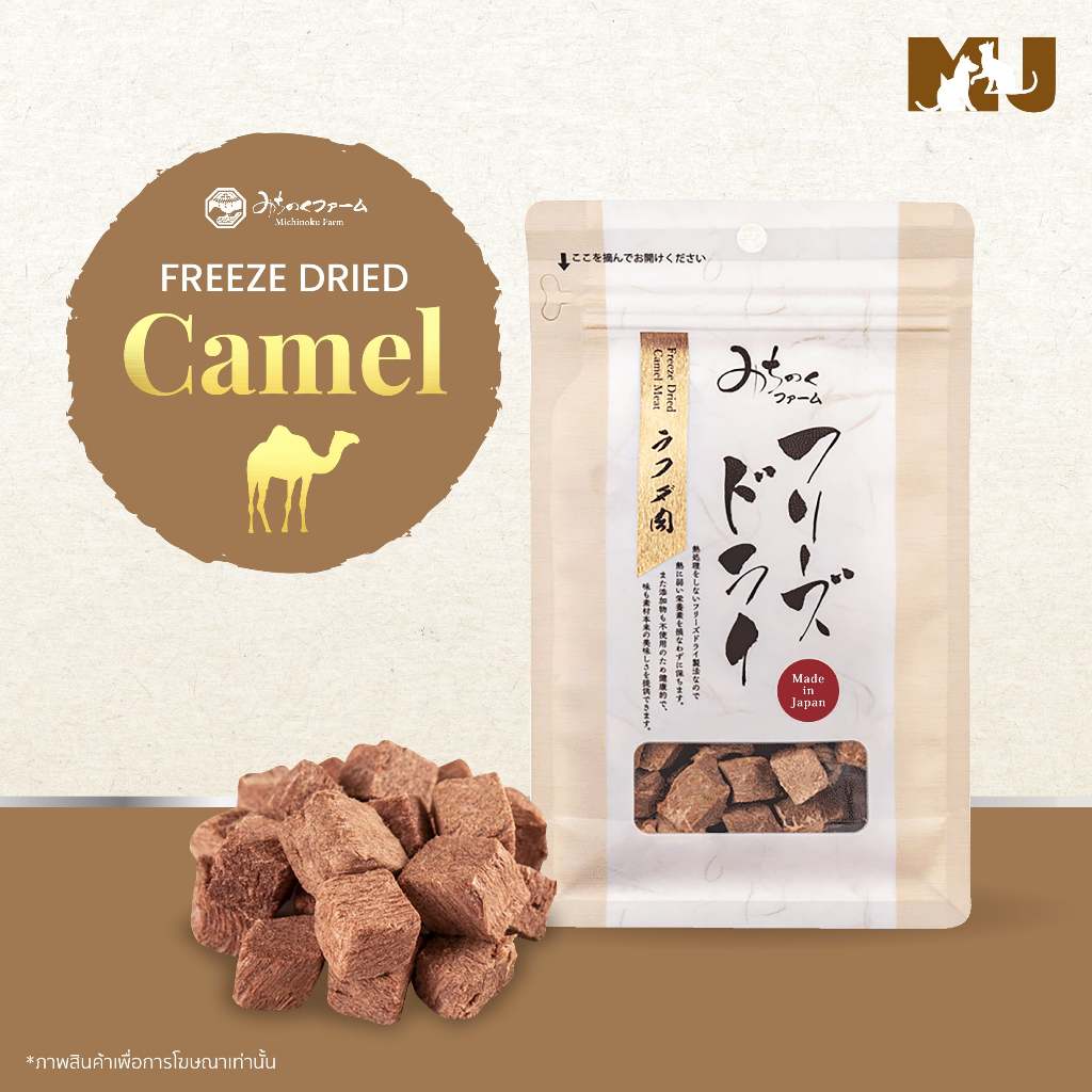 Freeze Dried Camel Meat 40g.ฟรีซดรายเนื้ออูฐขนมพรีเมียมจากประเทศญี่ปุ่น ขนมสำหรับน้องหมา น้องแมว