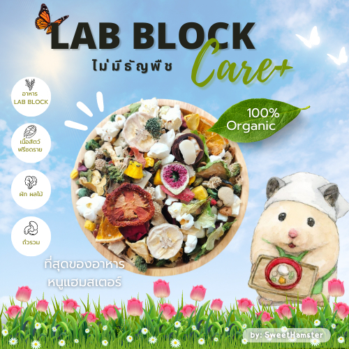 อาหารแฮมสเตอร์สูตรcare+(LabBlock)ล้วน ราคา ถูกที่สุด ดีลบีเคเค รูปภาพหลัก