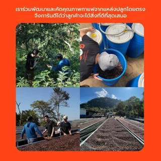 RISE COFFEE เมล็ดกาแฟคั่วกลางอ่อน Fruitopia ให้รสชาติโทน Fruity Floral จากเบลนด์ Ethiopia - Thai บาลานซ์ ทานง่าย