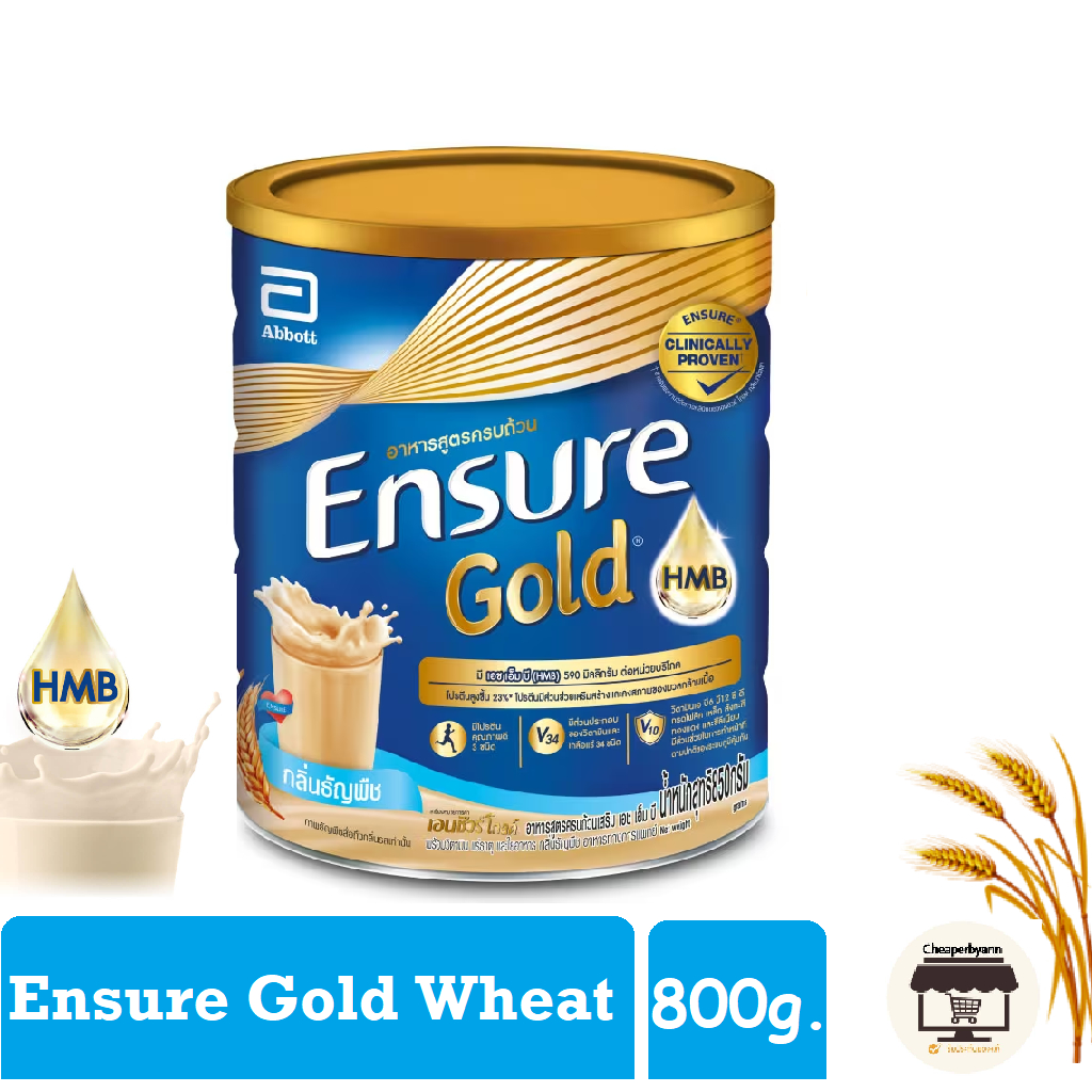 EXP 2026 โฉมใหม่HMB Ensure Gold Wheat เอนชัวร์ โกลด์กลิ่นธัญพืช 800 กรัม