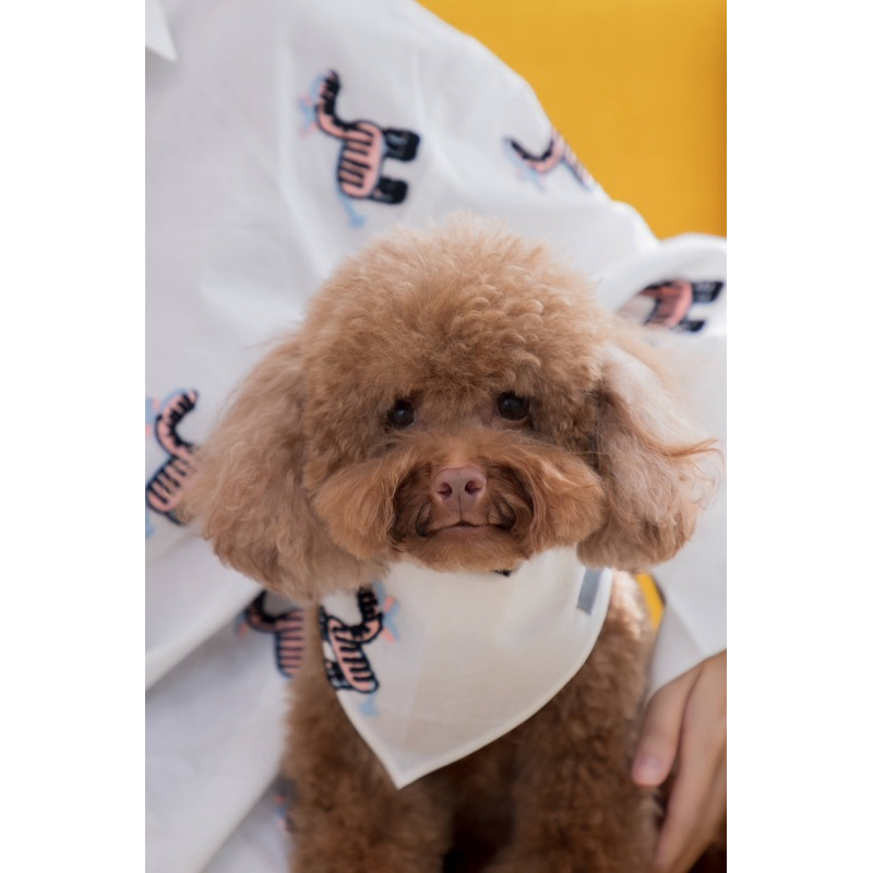 ผ้าพันคอ Furry Friend Scarf🐶 (ลาย Little Zebra🦓)