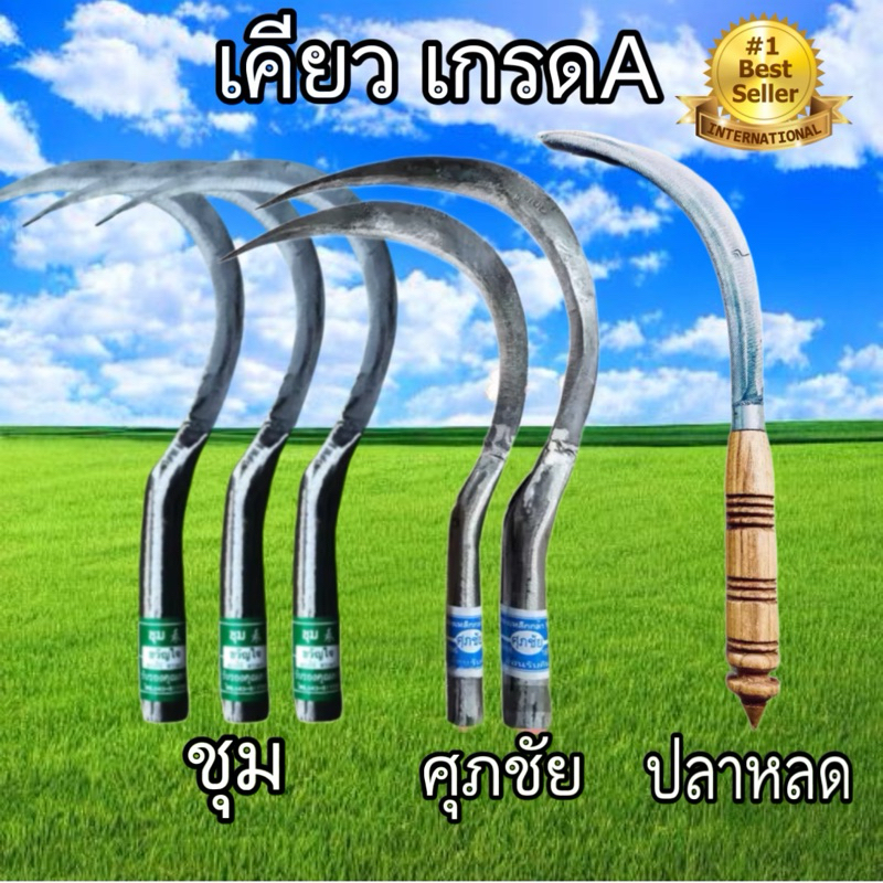 เคียว เคียวเกี่ยวข้าว เคียวปลาหลด เคียวเกี่ยวหญ้า มี ตัด8, ตัด10,ตัด12