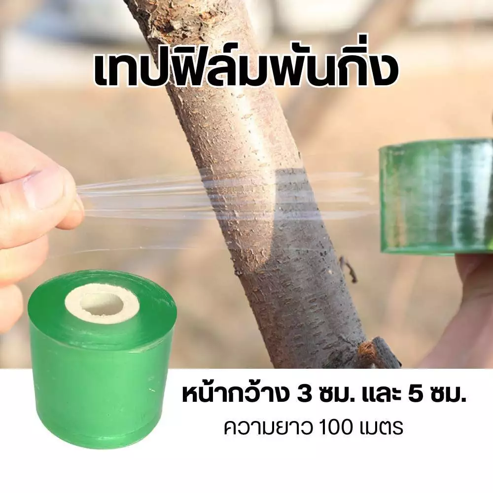 เทปยืดพันกิ่ง เทปฟิล์มพันกิ่ง หน้ากว้าง3ซม. และ 5ซม. ชนิดไม่มีกาว ยืดได้ ไม่ขาดง่าย สำหรับตอนกิ่ง