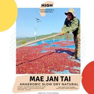 เมล็ดกาแฟ Anusorn Chuepa Anaerobic Slow Dry Natural แม่จันใต้ เชียงราย
