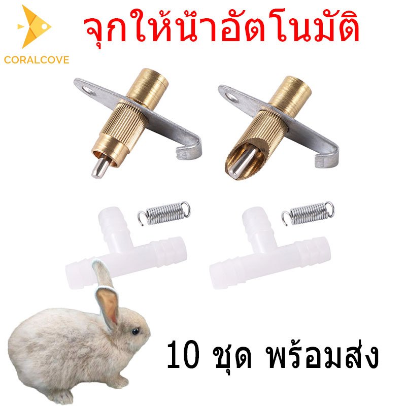 coralcoveshop จุกให้น้ำอัตโนมัติ หัวให้น้ำหนูอัตโนมัติ หัวจ่ายน้ำหนู จุกจ่ายน้ำดื่ม จุกให้น้ำกระต่าย
