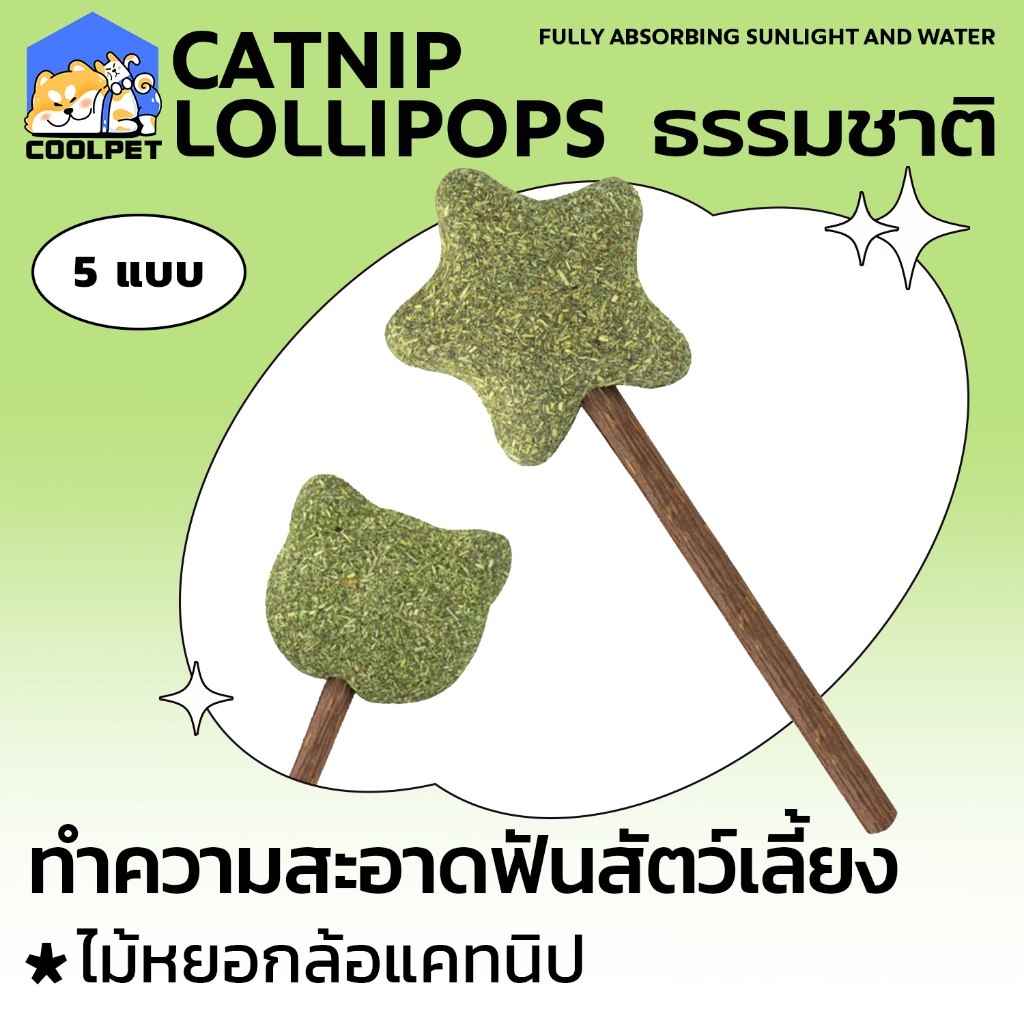 coolpet 🐶  Catnip Lollipop อมยิ้มแคทนิปเสียบไม้มาทาบิ สมุนไพรแมวฟิน แคทนิปแมว ขอ