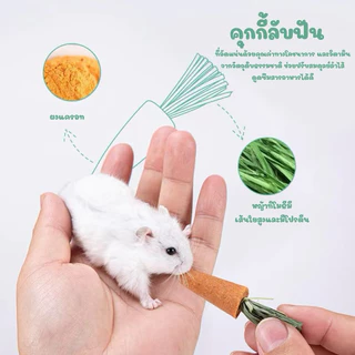 [crazy pet shop]คุกกี้ผัก มีประโยชน์ลับฟันได้ ปรับสมดุลลำไส้สำหรับสัตว์เลี้ยงแฮมสเตอร์