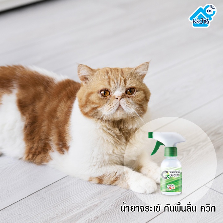 จระเข้ สเปรย์กันลื่น ควิก ฉีดทิ้งไว้ 5 นาที หายลื่น กดสั่ง 2 ขวด จ่ายแค่ 598.- บาท ปลอดภัย ใช้ง่าย ราคา ถูกที่สุด ดีลบีเคเค แกลเลอรีภาพที่ 6