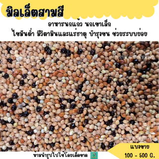 มิลเล็ตสามสี (แบ่งขาย 200G.-500G.) อาหารนกแก้ว นกเขาเล็ก