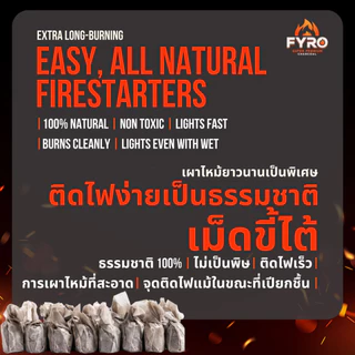 Charcoal Fire Starters (24pc) for lighting BBQ Charcoal เม็ดขี้ไต้ 24 เม็ด ใช้เพื่อจุดไฟถ่าน BBQ