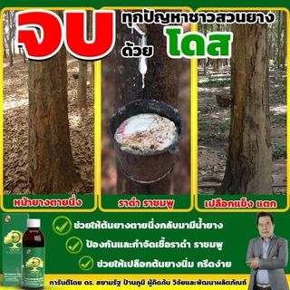 [ถูกที่สุด] โดสเขียว DOSEเพิ่มน้ำยาง 3-5 เท่าเห็นผลไว น้ำยางไหลดี แก้หน้ายางตายนึ่ง แก้เชื้อรา