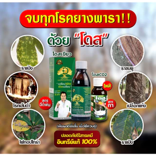 [ชุดพิเศษ] โดสเขียว DOSEเพิ่มน้ำยาง 3-5 เท่าเห็นผลไว น้ำยางไหลดี แก้หน้ายางตายนึ่ง แก้เชื้อรา