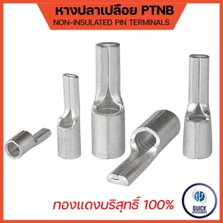 หางปลา PTNB รุ่นหนา ทองแดงชุบเงิน หางปลาเปลือย ขนาด 10-95sq.mm