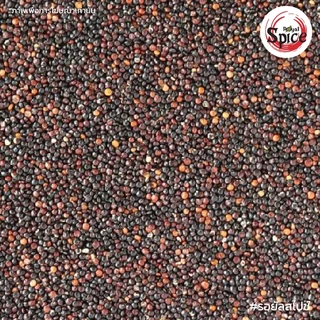 ควินัวดำ ควินัวแดง ควินัวขาว Quinoa ขนาด 1 กิโลกรัม