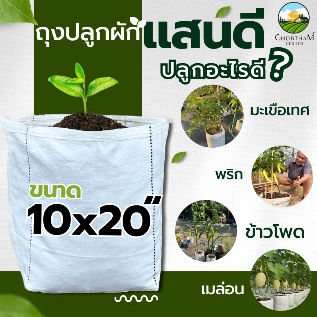 รูปภาพ 8