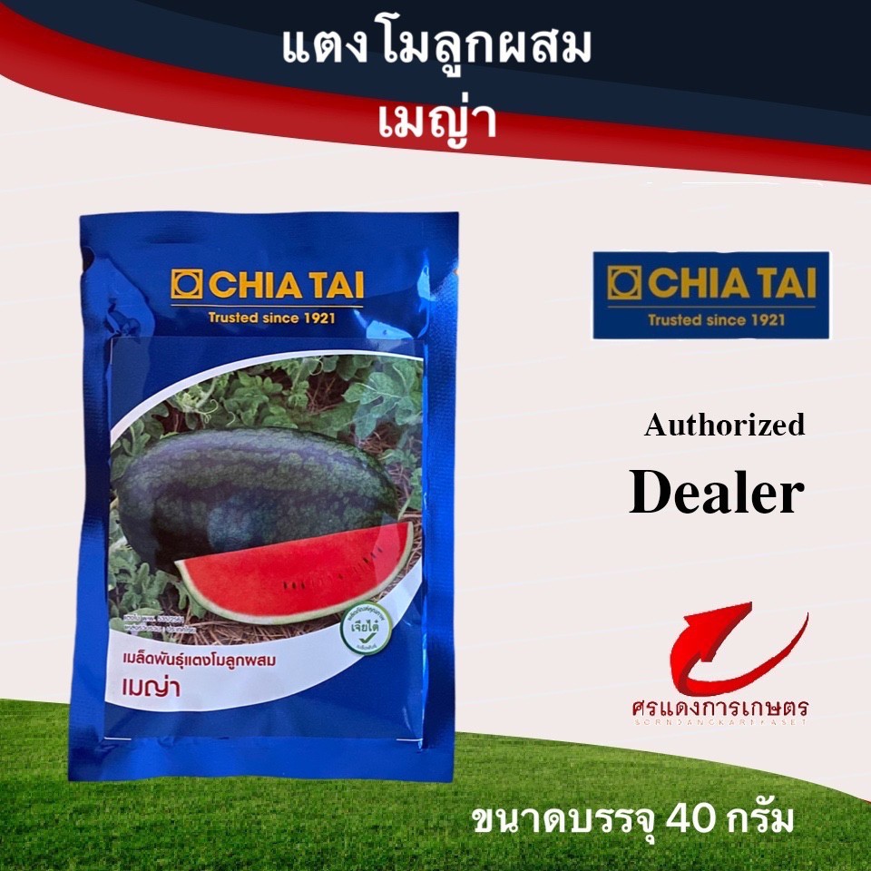 แตงโมตอปิโด เมญ่า 40g