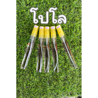 น้ำหอมกลิ่น โปโล แนวสปอร์ต หอมชื่นใจ น้ำหอมจีวัน