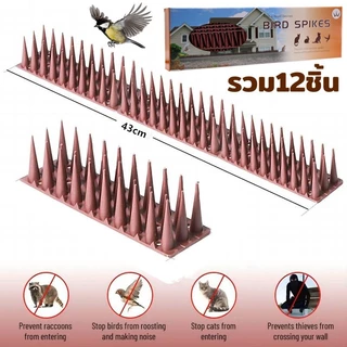 ที่กันนก หนามไล่นกพิราบ หนามกันนก หนามนก อุปกรณ์ไล่นก ไล่แมว หนามกันนกเกาะ bird thorn