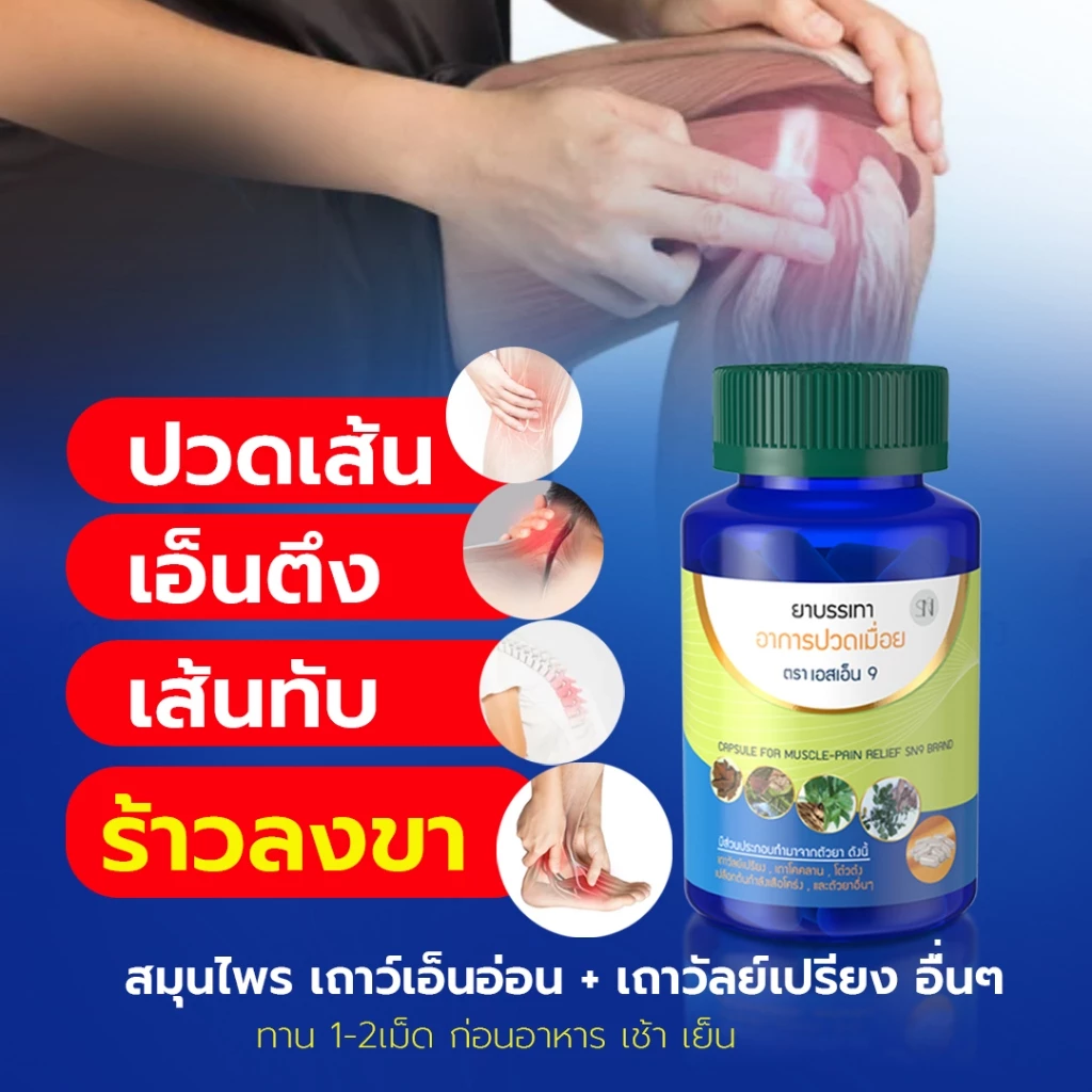 Mall-[ตะกล้าบริษัท] ยาบรรเทาอาการปวดเมื่อย ตราSN9 เถาว์เอ็นอ่อน เถาวัลย์เปรียง แก้ปวดเมื่อย ปวดเส้นเอ็น