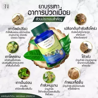 Mall-[ตะกล้าบริษัท] ยาบรรเทาอาการปวดเมื่อย ตราSN9 เถาว์เอ็นอ่อน เถาวัลย์เปรียง แก้ปวดเมื่อย ปวดเส้นเอ็น