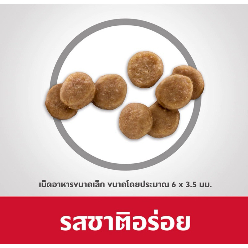 (( แพคเกจใหม่)) Hill’s Kitten healthy devolopment 1.58 kg. Exp. 05/2026 สูตรเพื่อพัฒนาการที่แข็งแรง ((ถุงเขียว))