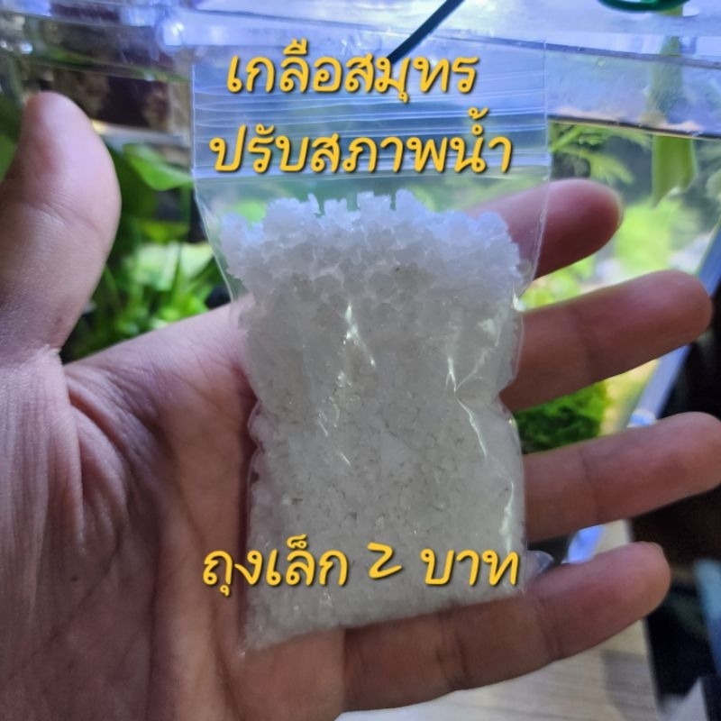 เกลือสมุทร ตู้ปลา ปรับสภาพน้ำ ลดคลอรีน รักษาแผลปลา เกลือเม็ดใหญ่ รักษาปลากัด ล้างโหลปลา รักษากุ้ง