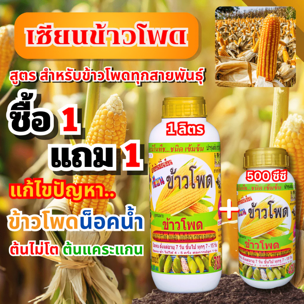 เซียนข้าวโพด 1 ลิตร แถม 500cc ฮอร์โมนข้าวโพด ฉีดพ่นทางใบ อะมิโน อาหารเสริมพืช