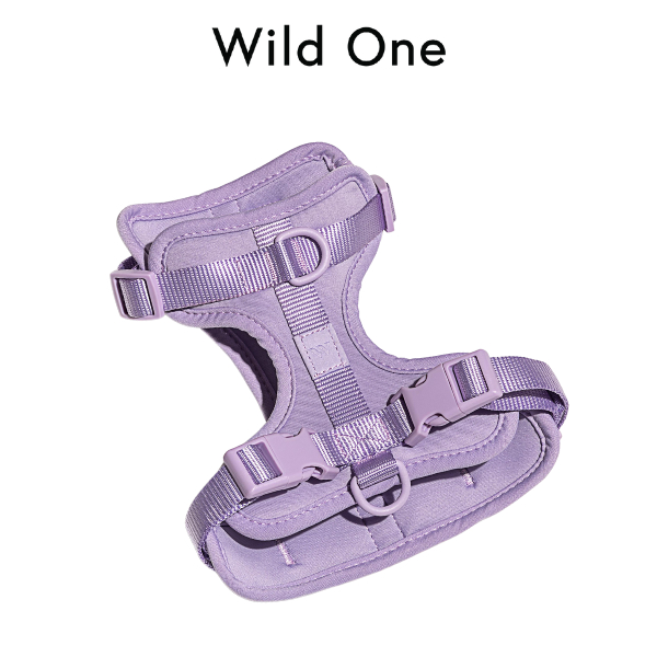 Wild One - Harness สายรัดอกสุนัข Lilac