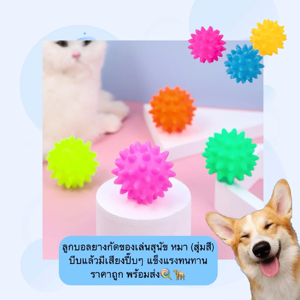 AL-1201 ลูกบอลยางกัดของเล่นสุนัข หมา (สุ่มสี) บีบแล้วมีเสียงปี๊บๆ แข็งแรงทนทาน ราคาถูก พร้อมส่ง🍭🦮