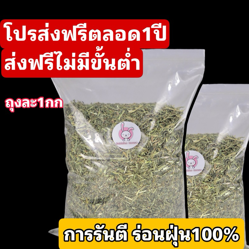 ร้านส่งฟรีทุกออเดอร์ อัลฟาฟ่าสับ ร่อนฝุ่นพิเศษ ออสเตรเลีย หญ้ากระต่าย แนะนำสำหรับกระต่ายเแพ้ฝุ่น ถุกที่_สุ.ดในซอปปี