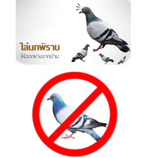 ไล่นก ไล่จิ้งจก ไล่หนู ไล่ค้างคาว 500 ml. (MG-500) ไล่มด แมลงสาบ แมงมุม ฯลฯ