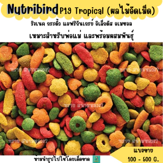 Nutribird P19 Tropical (แบ่งขาย 200-500 G.) อาหารนกแก้วขนาดกลางทุกสายพันธุ์