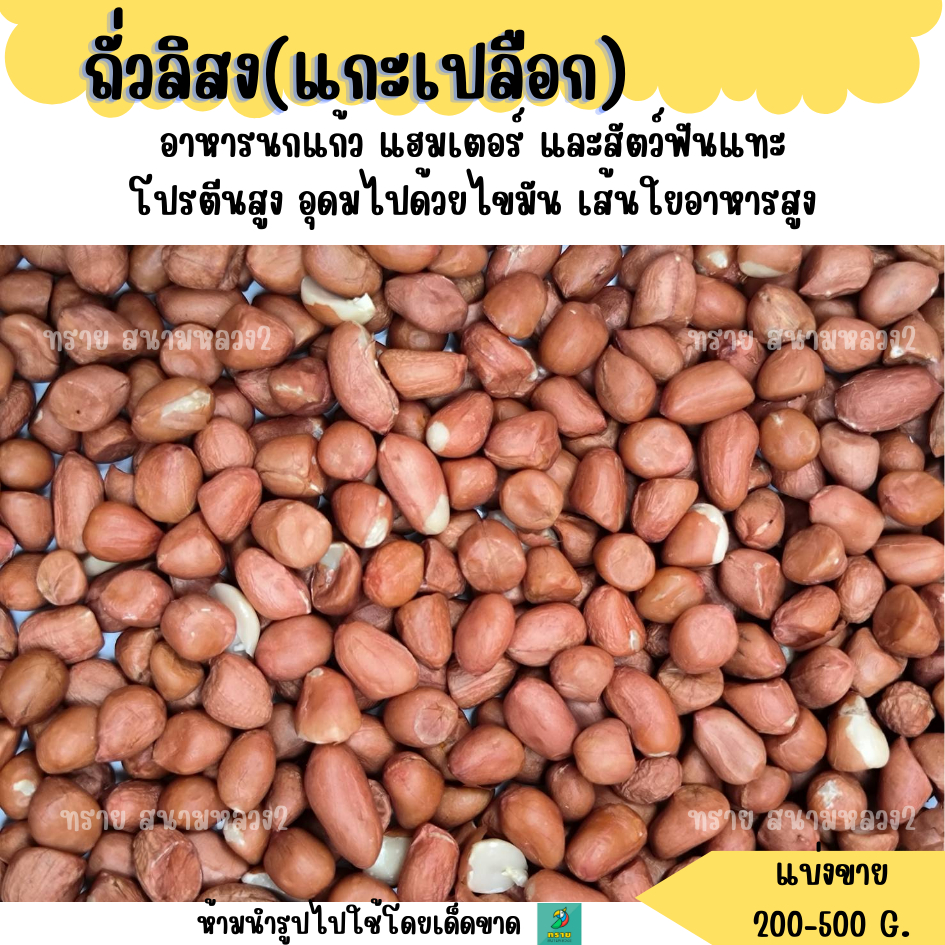 ถั่วลิสง แกะเปลือก (แบ่งขาย 200-500G.) อาหารนกแก้วขนาดกลาง-ใหญ่ แฮมสเตอร์ กระรอก กระแต