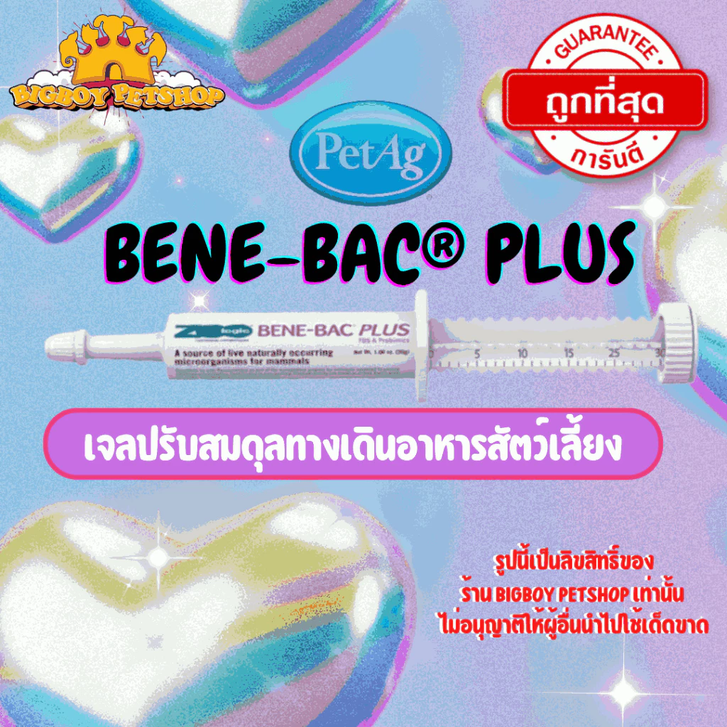 Benebac Plus Gel 30g ช่วยย่อย เสริมภูมิ สุนัข แมว กระต่าย พรี+โพรไบโอติก