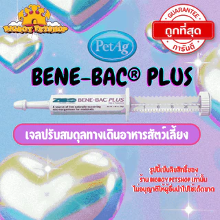 Benebac Plus Gel 30g ช่วยย่อย เสริมภูมิ สุนัข แมว กระต่าย พรี+โพรไบโอติก