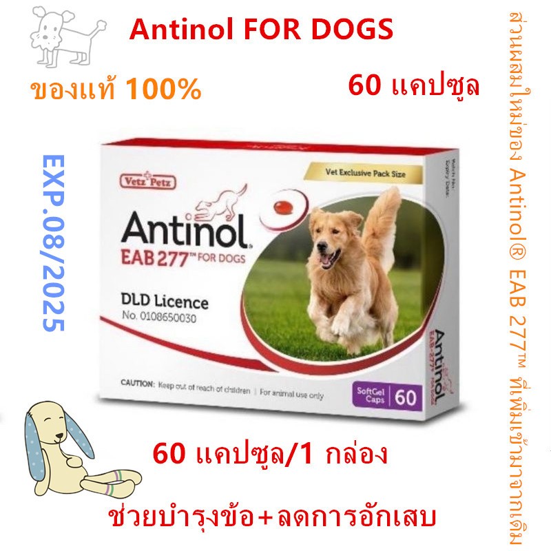 Antinol DOG ช่วยบำรุงข้อ กระดูก ขน ผิวหนัง และไต(1 กล่อง 60 caps) สำหรับสัตว์เลี้ยง EXP.08/2025